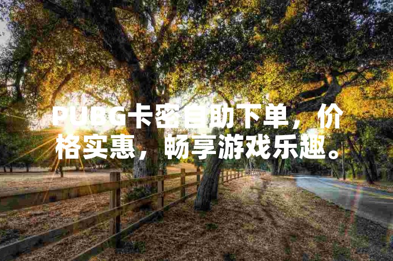 PUBG卡密自助下单，价格实惠，畅享游戏乐趣。