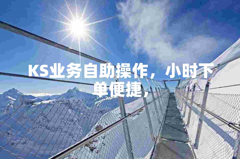 KS业务自助操作，小时下单便捷，50赞轻松搞定。