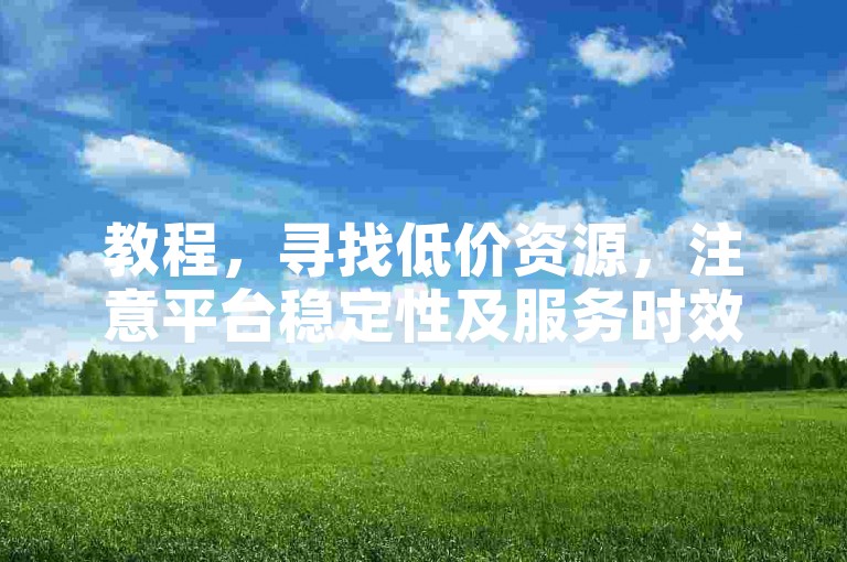 教程，寻找低价资源，注意平台稳定性及服务时效性。