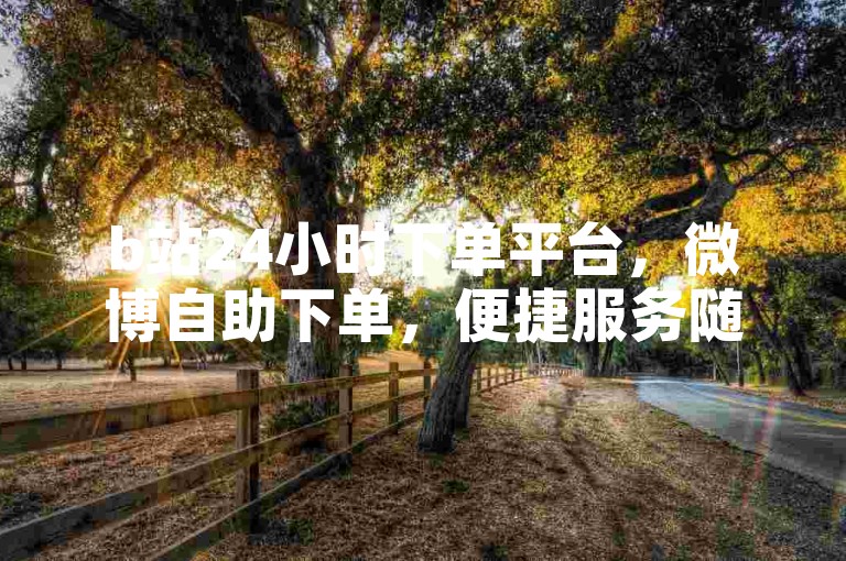 b站24小时下单平台，微博自助下单，便捷服务随时享。