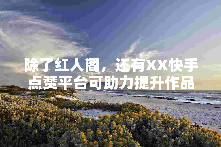 除了红人阁，还有XX快手点赞平台可助力提升作品热度。