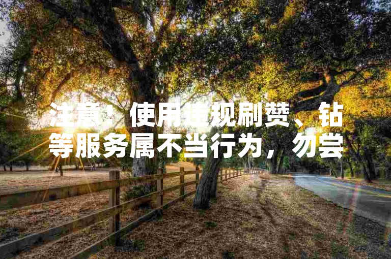 注意！使用违规刷赞、钻等服务属不当行为，勿尝试。