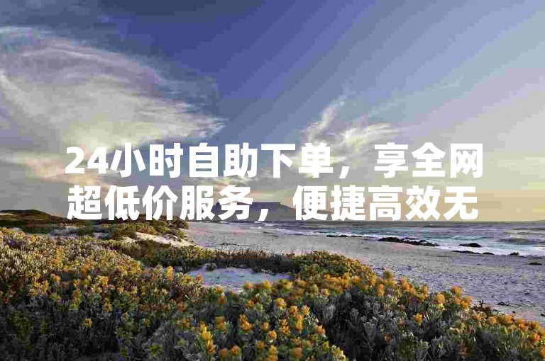 24小时自助下单，享全网超低价服务，便捷高效无忧虑。