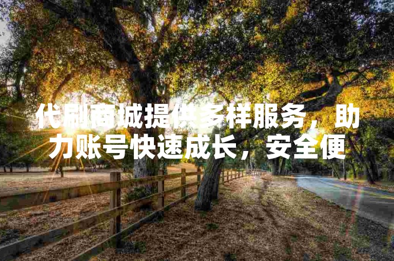 代刷商城提供多样服务，助力账号快速成长，安全便捷。