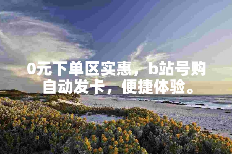 0元下单区实惠，b站号购自动发卡，便捷体验。