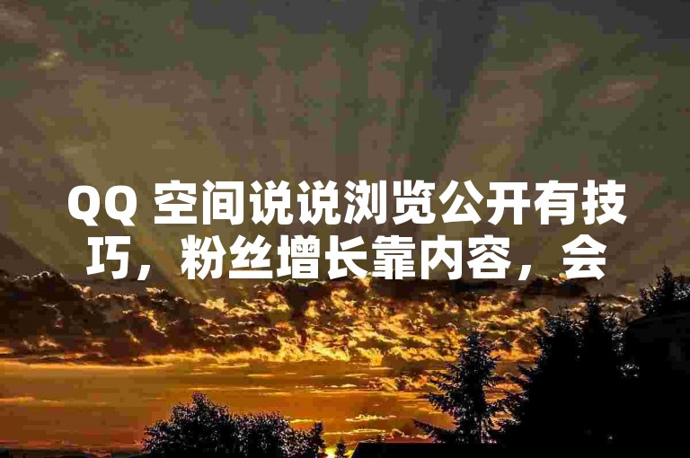 QQ 空间说说浏览公开有技巧，粉丝增长靠内容，会员活动多留意。