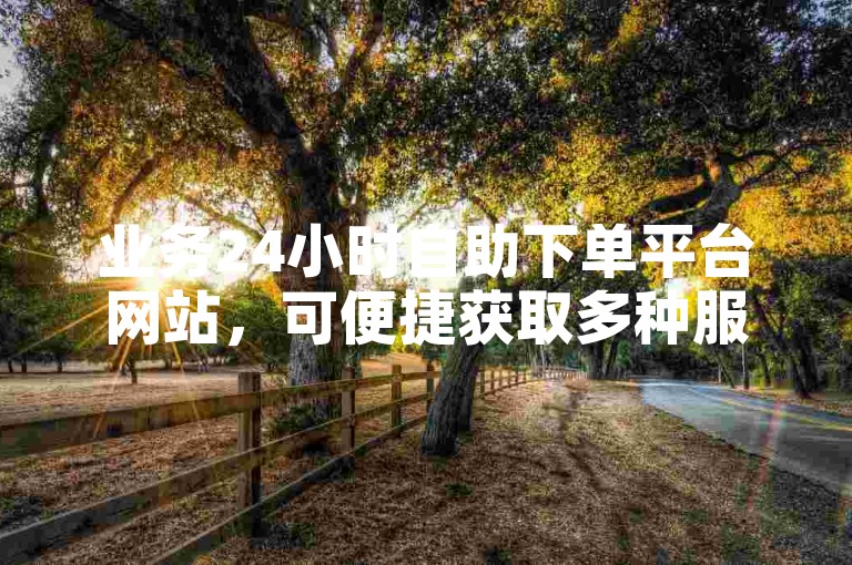 业务24小时自助下单平台网站，可便捷获取多种服务。