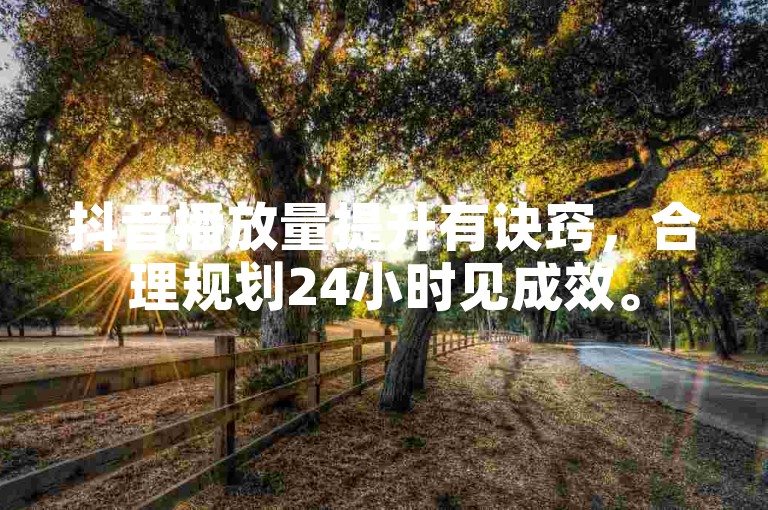 抖音播放量提升有诀窍，合理规划24小时见成效。