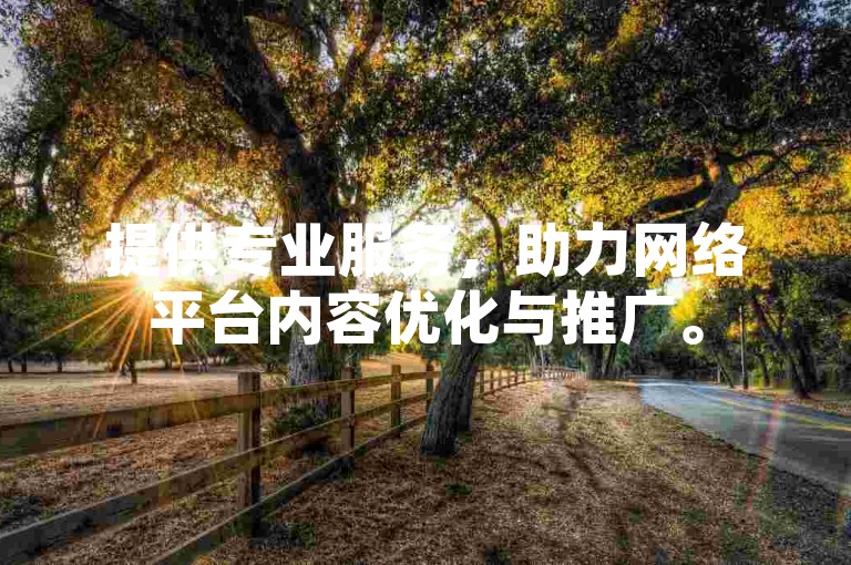 提供专业服务，助力网络平台内容优化与推广。