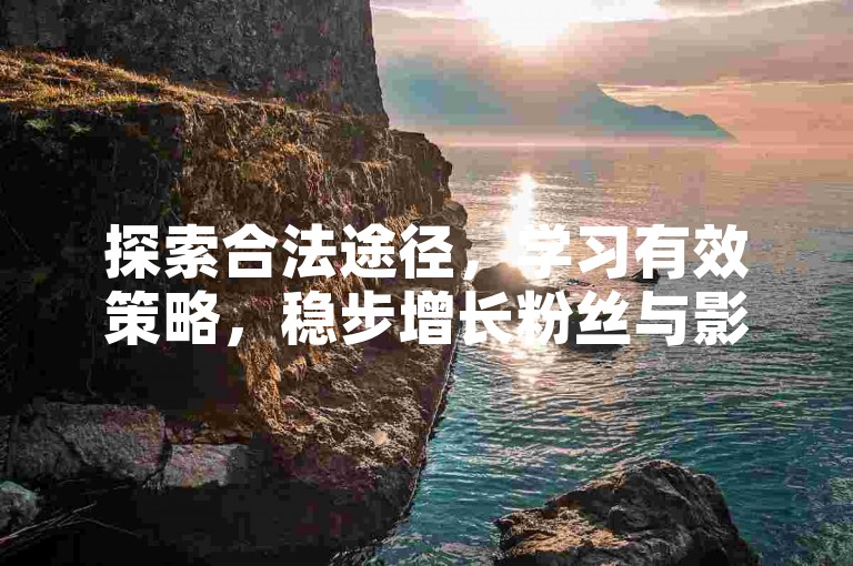 探索合法途径，学习有效策略，稳步增长粉丝与影响力。