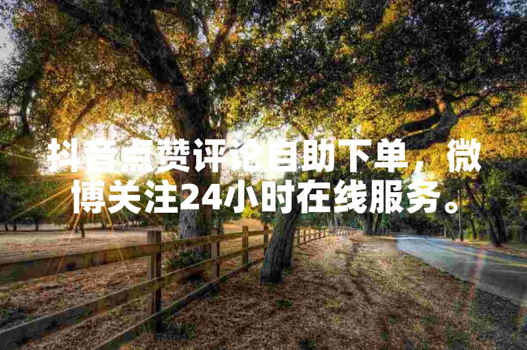 抖音点赞评论自助下单，微博关注24小时在线服务。