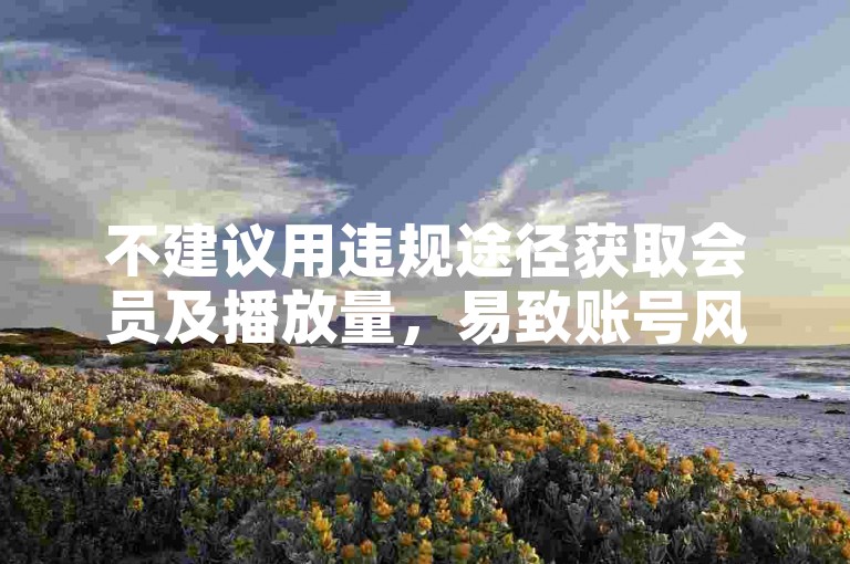 不建议用违规途径获取会员及播放量，易致账号风险。