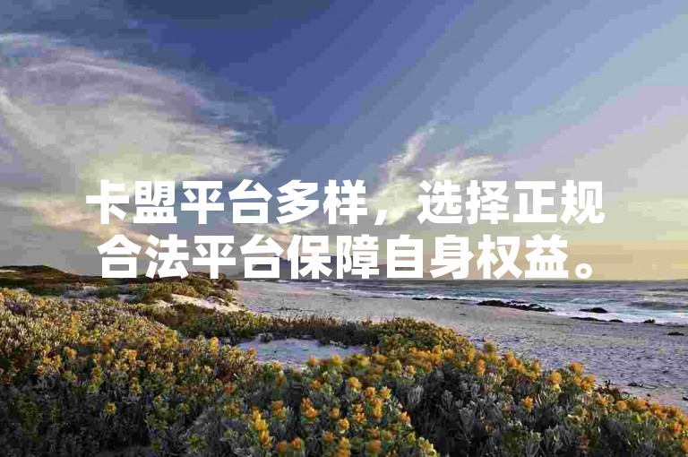 卡盟平台多样，选择正规合法平台保障自身权益。