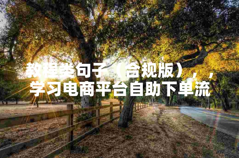 教程类句子（合规版），，学习电商平台自助下单流程，掌握优惠策略与操作技巧。