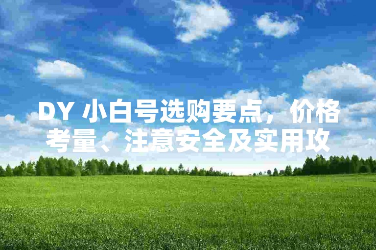 DY 小白号选购要点，价格考量、注意安全及实用攻略详解。