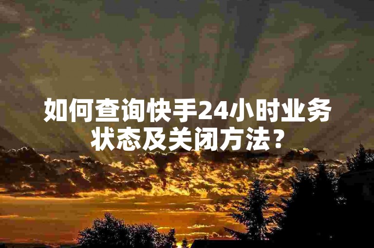 如何查询快手24小时业务状态及关闭方法？