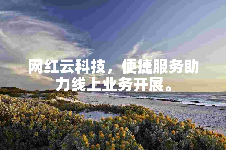 网红云科技，便捷服务助力线上业务开展。