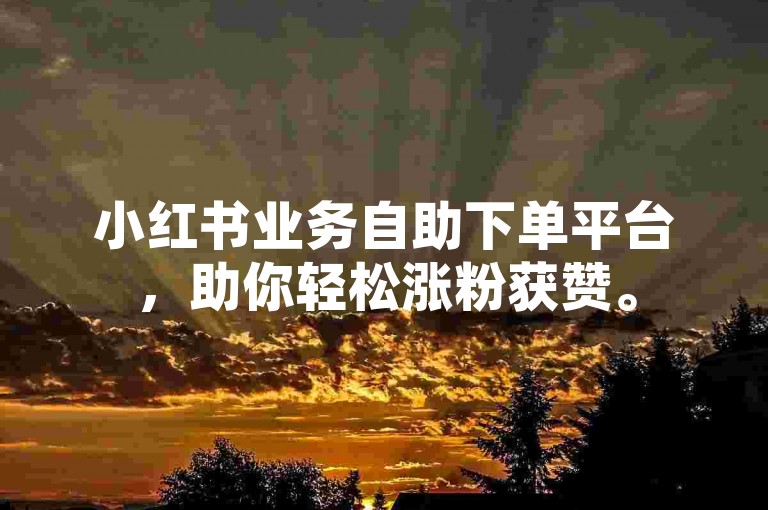 小红书业务自助下单平台，助你轻松涨粉获赞。