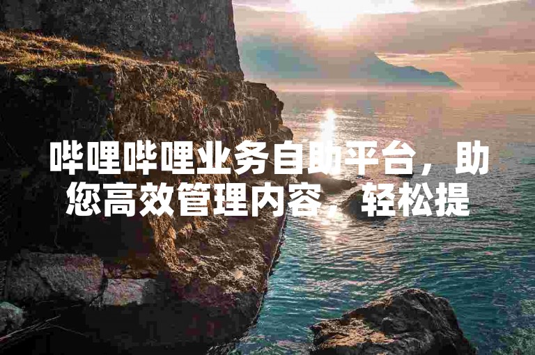 哔哩哔哩业务自助平台，助您高效管理内容，轻松提升网站流量。