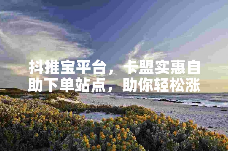 抖推宝平台，卡盟实惠自助下单站点，助你轻松涨粉。