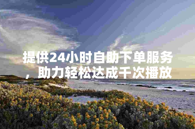 提供24小时自助下单服务，助力轻松达成千次播放量。