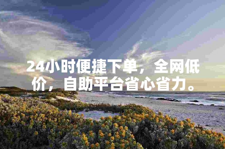 24小时便捷下单，全网低价，自助平台省心省力。