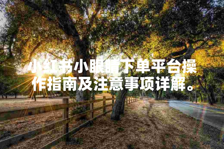 小红书小眼睛下单平台操作指南及注意事项详解。