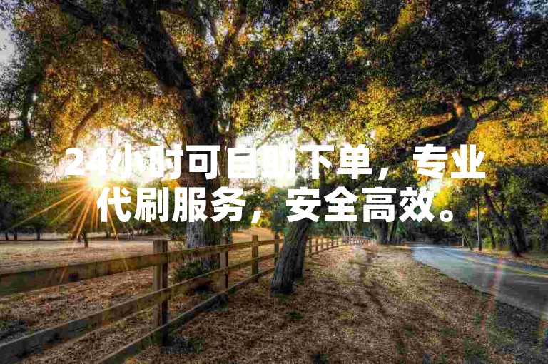 24小时可自助下单，专业代刷服务，安全高效。