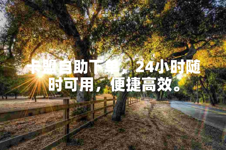 卡盟自助下单，24小时随时可用，便捷高效。