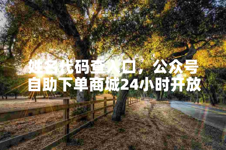 姓名代码查入口，公众号自助下单商城24小时开放
