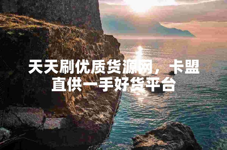 天天刷优质货源网，卡盟直供一手好货平台