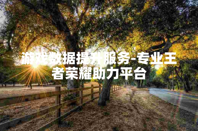 游戏数据提升服务-专业王者荣耀助力平台