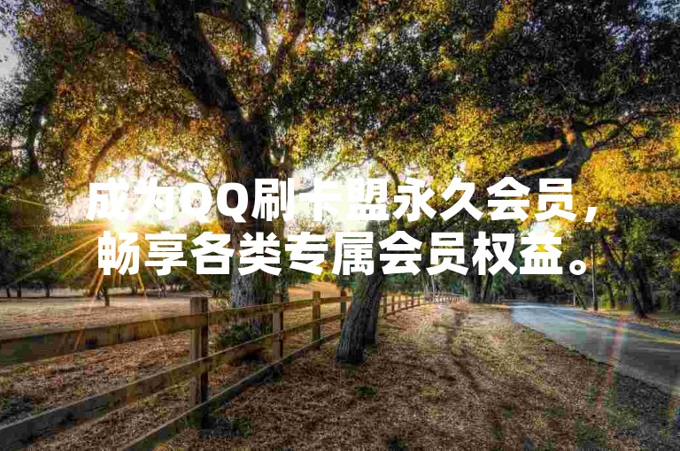 成为QQ刷卡盟永久会员，畅享各类专属会员权益。