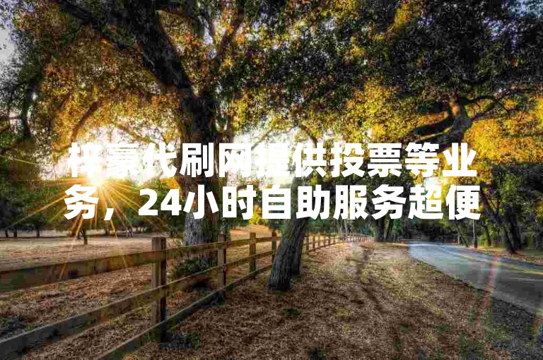 梓豪代刷网提供投票等业务，24小时自助服务超便捷。