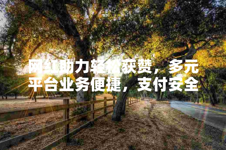 网红助力轻松获赞，多元平台业务便捷，支付安全无忧！