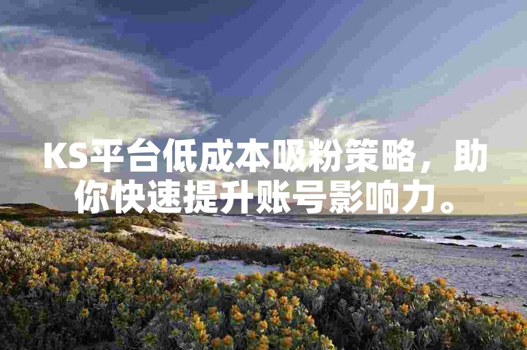 KS平台低成本吸粉策略，助你快速提升账号影响力。