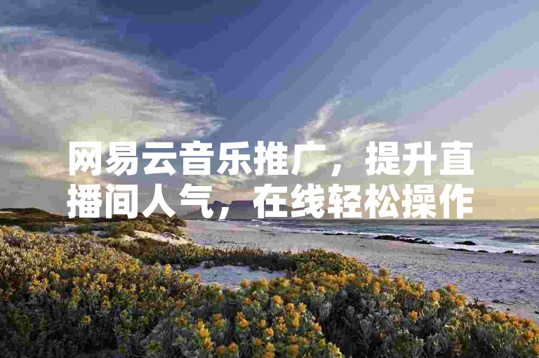 网易云音乐推广，提升直播间人气，在线轻松操作。