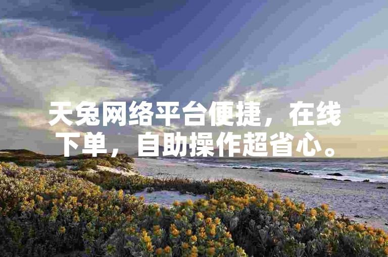 天兔网络平台便捷，在线下单，自助操作超省心。