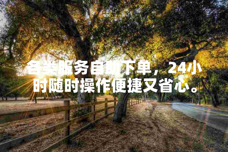 各类服务自助下单，24小时随时操作便捷又省心。