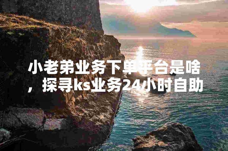 小老弟业务下单平台是啥，探寻ks业务24小时自助下单实惠之选