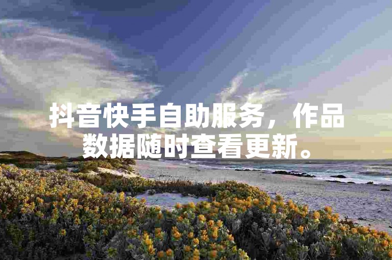 抖音快手自助服务，作品数据随时查看更新。