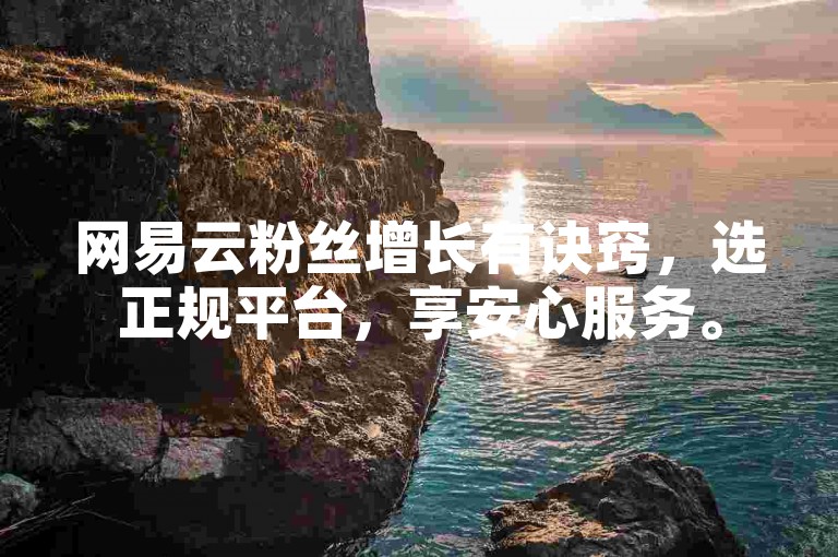 网易云粉丝增长有诀窍，选正规平台，享安心服务。