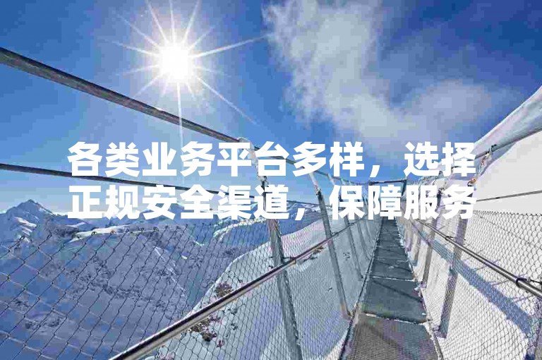 各类业务平台多样，选择正规安全渠道，保障服务与权益。