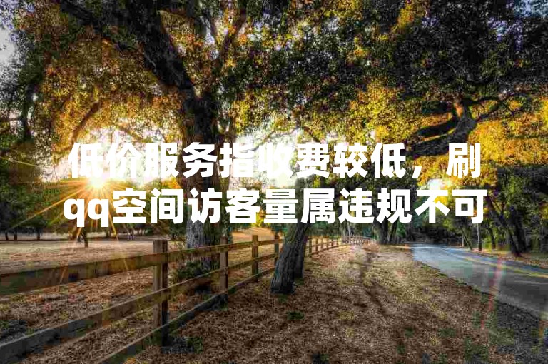 低价服务指收费较低，刷qq空间访客量属违规不可取行为。