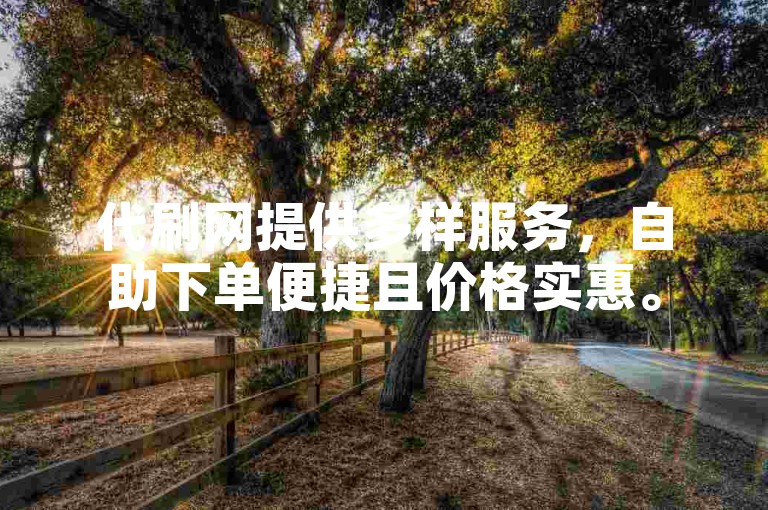 代刷网提供多样服务，自助下单便捷且价格实惠。