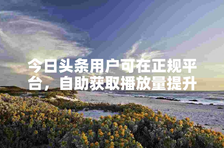 今日头条用户可在正规平台，自助获取播放量提升内容曝光。