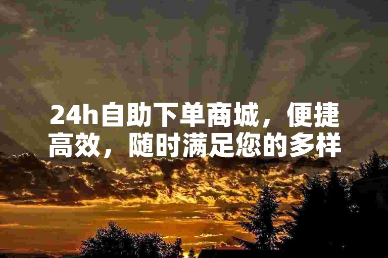 24h自助下单商城，便捷高效，随时满足您的多样需求。