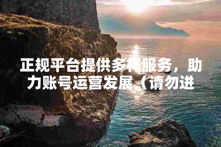 正规平台提供多样服务，助力账号运营发展（请勿进行违规操作）