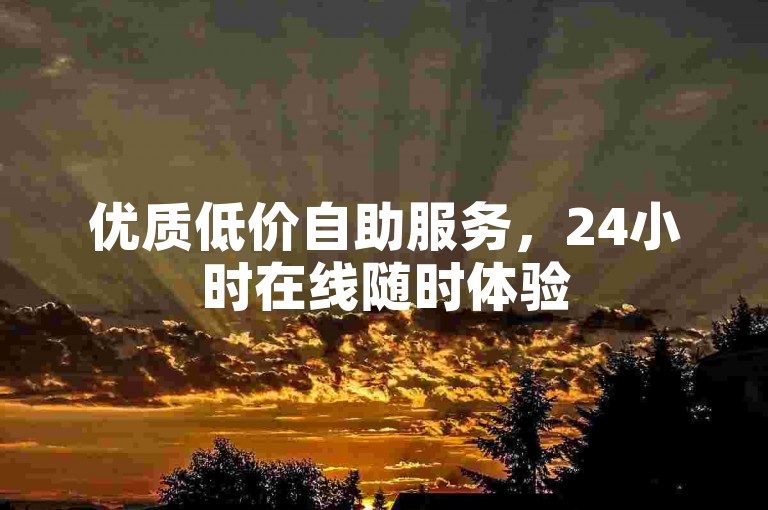 优质低价自助服务，24小时在线随时体验