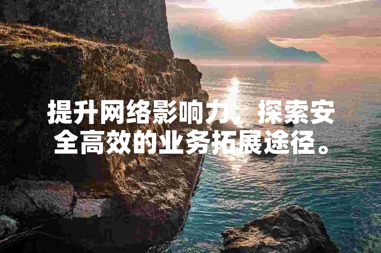 提升网络影响力，探索安全高效的业务拓展途径。